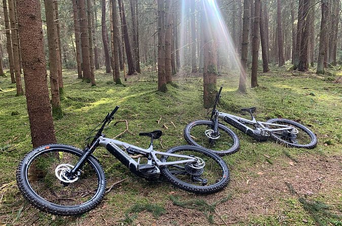 E mountain bike tour - Choosing the e-bike and judging the value