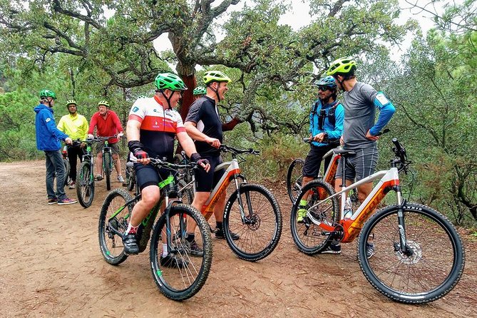 E-Mountain Bike & Wine Tour from Marbella to Sierra Blanca - What you eat at the end