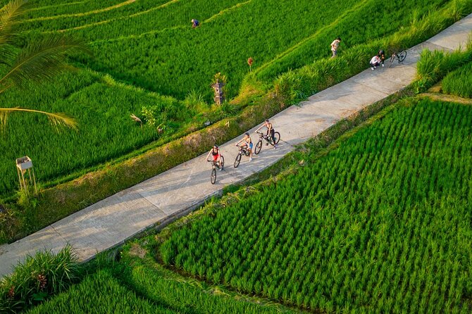 eBike Ubud Rice Terraces and Traditional Villages Cycling - Traditional villages and local craft