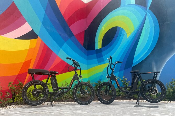 Electric Bike Day Rental - Family riding and passenger seats