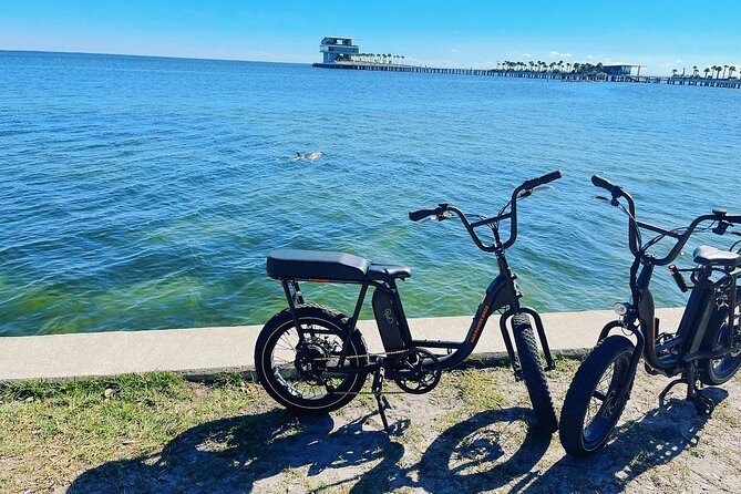 Electric Bike Day Rental - Why delivery changes the value of a $60 rental