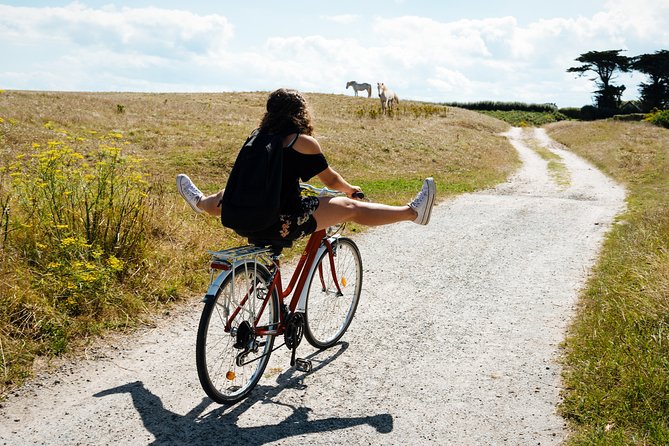 Electric bike excursion in Camargue - The electric bikes make the distance manageable