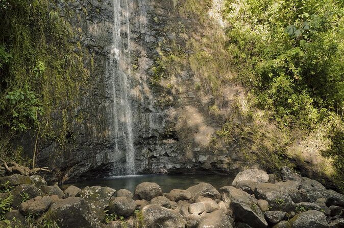 Electric Bike Ride & Manoa Falls Hike Tour - Key points to know before booking