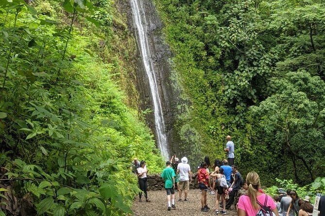 Electric Bike Ride & Manoa Falls Hike Tour - Who will enjoy this outing most