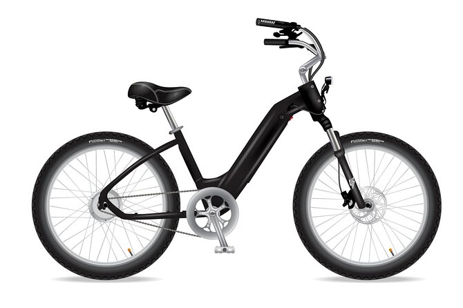 Electric Bike Ride on the Olympic Discovery Trail - Choosing the Lake Elwha direction