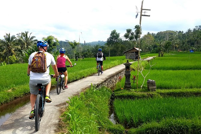 Electric Cycling Tour of Ubud with Free Hotel Transfer and Lunch - Rice terraces, village roads, and the real ride