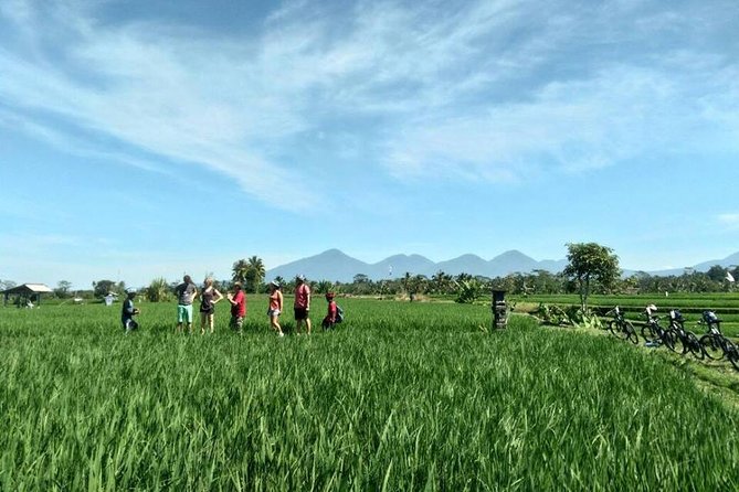 Electric Cycling Tour of Ubud with Free Hotel Transfer and Lunch - Tegalalang Rice Terrace for the big views
