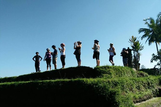 Electric Cycling Tour of Ubud with Free Hotel Transfer and Lunch - The temple and local life stops