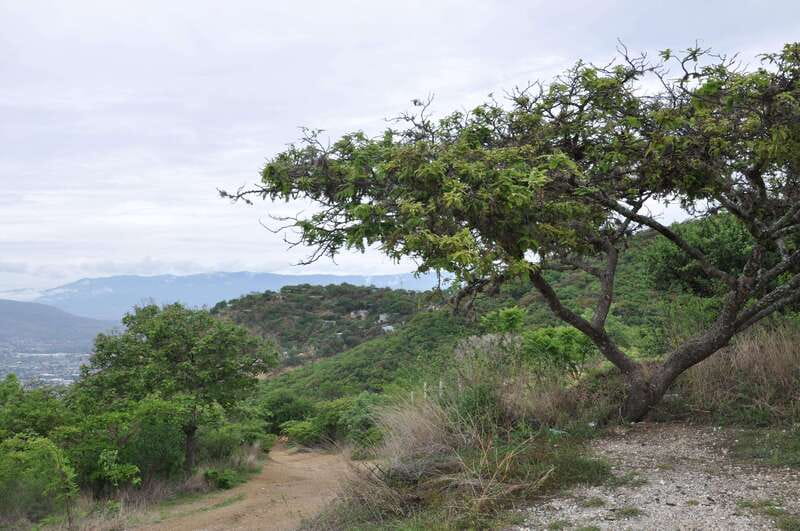 Electric Mountain bike in Oaxaca - A morning on Oaxaca’s mountain trails