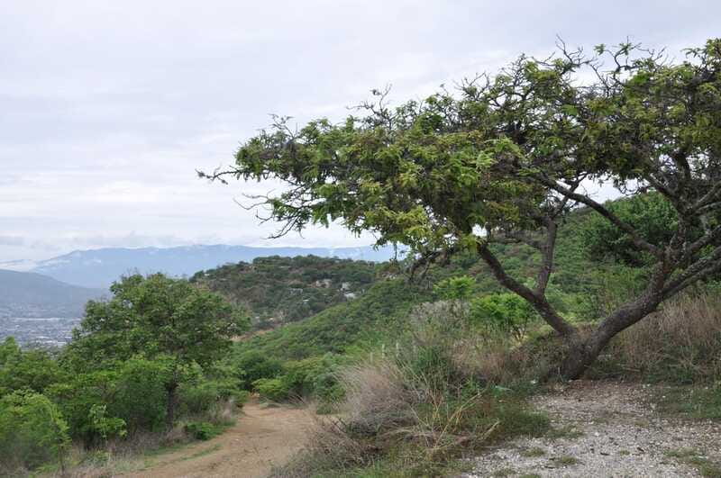 Electric Mountain bike in Oaxaca - Breakfast after the ride