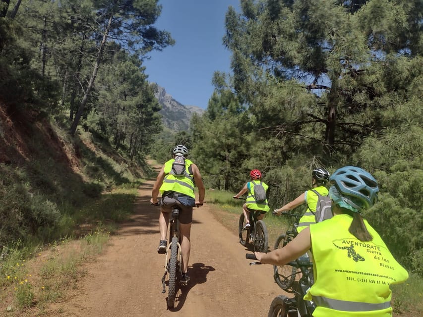 Electric mountain bike in Sierra de las Nieves national park - Meeting the pinsapo and the park’s natural side