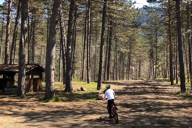 Electric Mountain Bike Rental in Bobbio - Key points to know before booking
