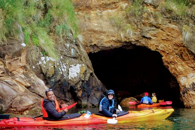 Electric Mountain Bike & Sea Kayak Tour in Akaroa - The Lava Loop climb from 8:30 to 11am