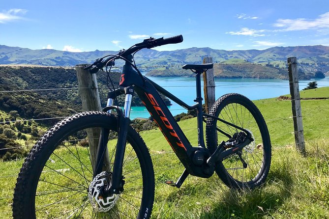 Electric Mountain Bike & Sea Kayak Tour in Akaroa - The Crater Cruiser kayak safari from 11:30am