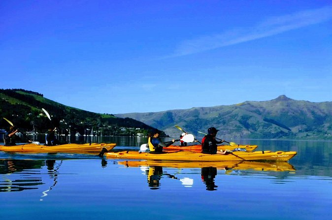 Electric Mountain Bike & Sea Kayak Tour in Akaroa - Why the marine reserve adds value