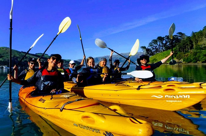 Electric Mountain Bike & Sea Kayak Tour in Akaroa - The value of $176.86