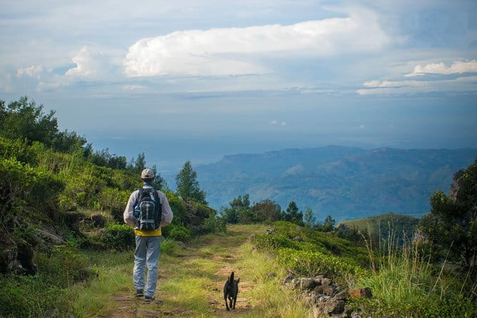 Ella Cycling Experience in Ella - What the guide adds to the ride
