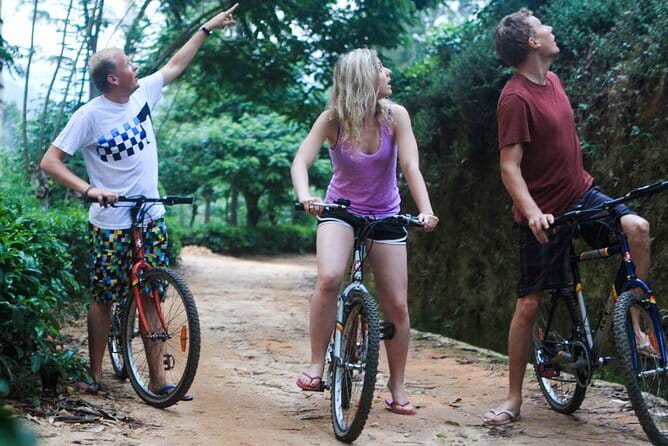 Ella Cycling Experience in Ella - Is $50 good value for three hours?