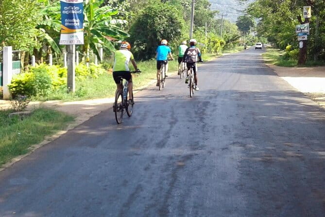 Ella Cycling Experience in Ella - Who should book this Ella cycling experience?