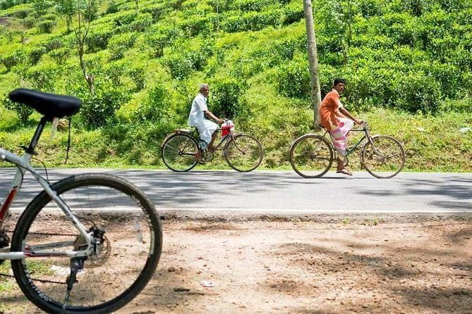 Ella Cycling Tour - Cycling Ella instead of simply sightseeing