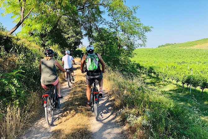 Enjoy a Wine Tasting after a cycling excursion in the magic of Tuscany - Key details before you book
