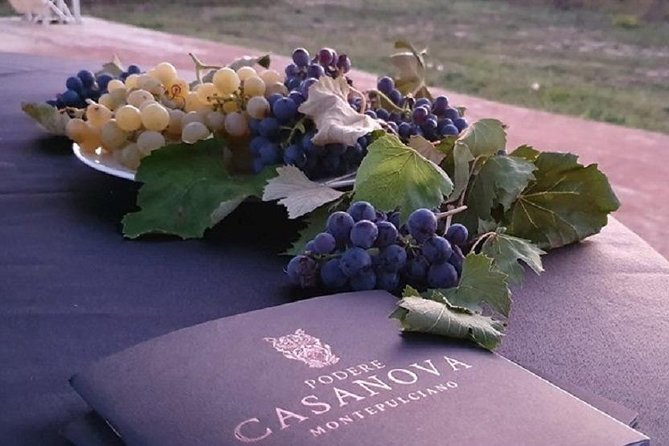 Enjoy a Wine Tasting after a cycling excursion in the magic of Tuscany - Returning to Podere Casanova for the winery visit