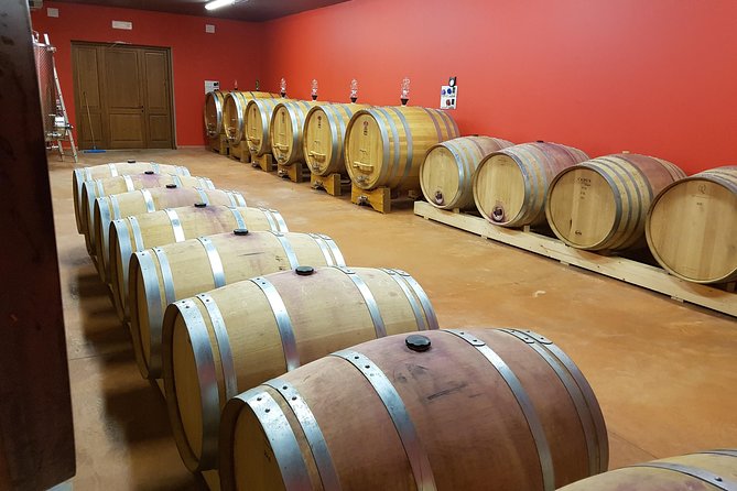 Enjoy a Wine Tasting after a cycling excursion in the magic of Tuscany - What the $164.50 price really covers