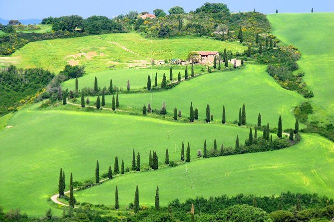 Enjoy a Wine Tasting after a cycling excursion in the magic of Tuscany - My verdict on the ride, wine, and lunch
