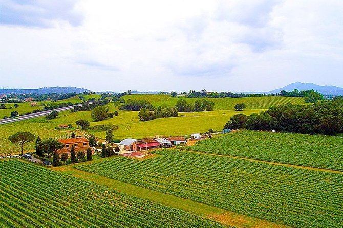 Enjoy a Wine Tasting after a cycling excursion in the magic of Tuscany - A small group makes the ride easier