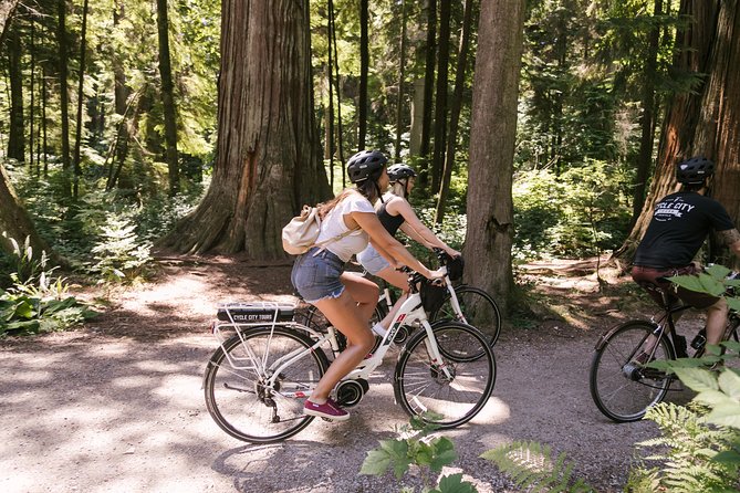 Epic Electric Bike Tour by Cycle City Tours - Guides who make the difference
