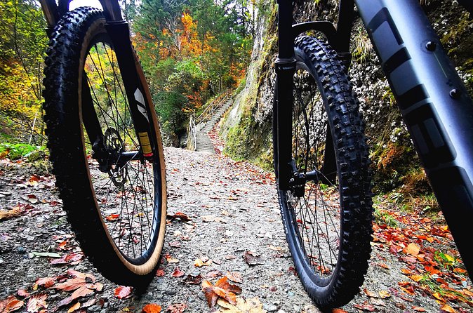 Explore Lucerne’s Hidden Gems Sunset City Cycling Tour - The Meggen choice: views or an easier ride