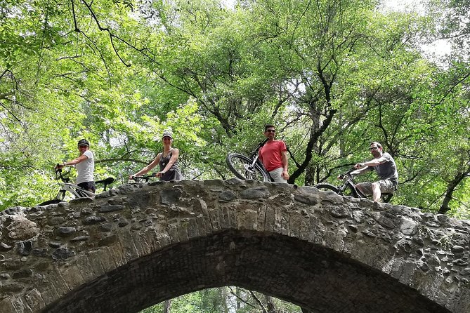 Explore Paphos forest with e-mountain bikes - Key points to know before booking