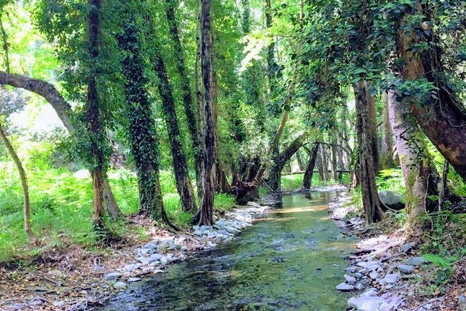 Explore Paphos forest with e-mountain bikes - Reaching remote Milikouri village