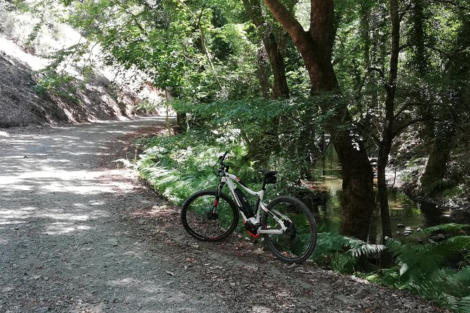 Explore Paphos forest with e-mountain bikes - Price and value at $154.88 per person