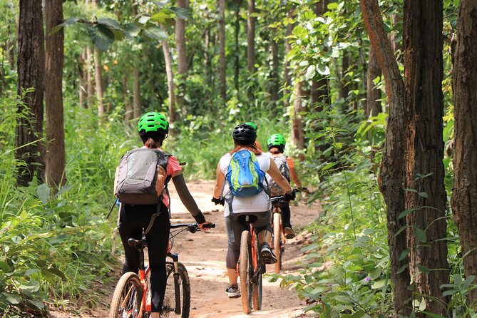 FIELDS OF GOLD Mountain Biking Tour Chiang Mai - Mok Fa Waterfall is the day’s natural reset