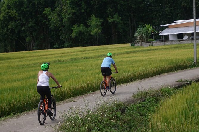 FIELDS OF GOLD Mountain Biking Tour Chiang Mai - How demanding is 40 to 57 miles?