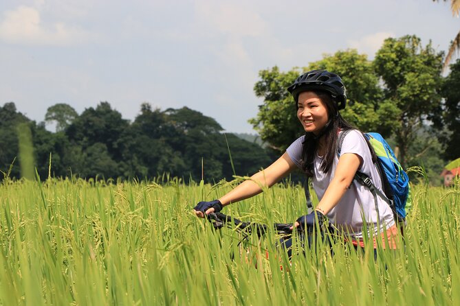 FIELDS OF GOLD Mountain Biking Tour Chiang Mai - Starting at Trailhead with the right bike