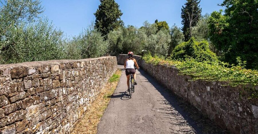 Florence: Tuscany Bike Tour with Wine & Olive Oil - Country lanes, villas, and olive groves
