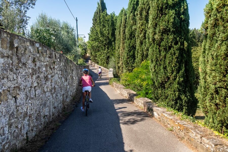 Florence: Tuscany Bike Tour with Wine & Olive Oil - Four hills, frequent stops, and one hour of riding
