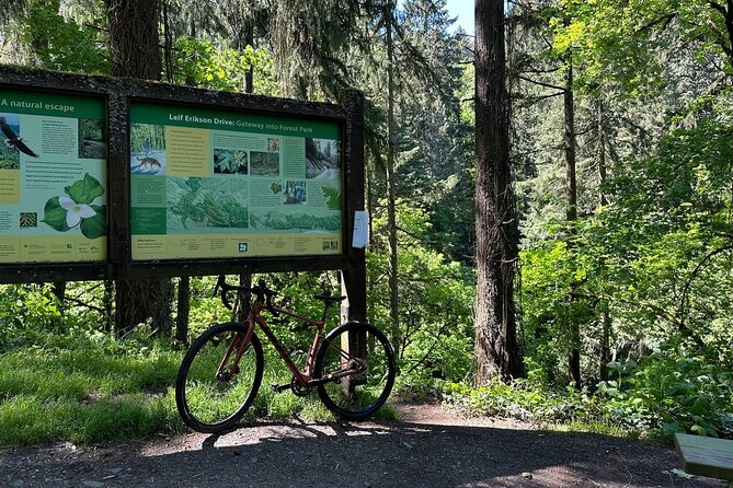 Forest Park Carbon Gravel Bike and E-Bike Tour - Starting in Old Town at 10 a.m.