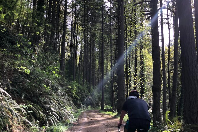 Forest Park Carbon Gravel Bike and E-Bike Tour - What the tour is worth