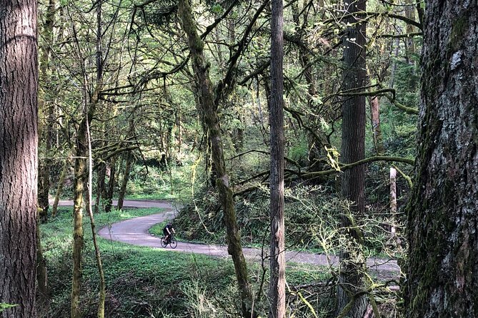 Forest Park Carbon Gravel Bike and E-Bike Tour - From the Pearl to Nob Hill