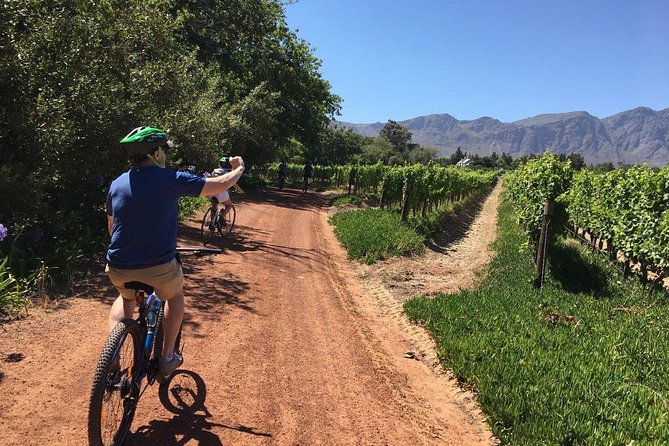 Franschhoek Cycle Experience Half Day - Private Tour - Starting at Grand Provence at 9:00 am