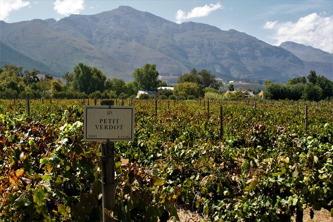Franschhoek Cycle Experience Half Day - Private Tour - What the $138.75 price really buys
