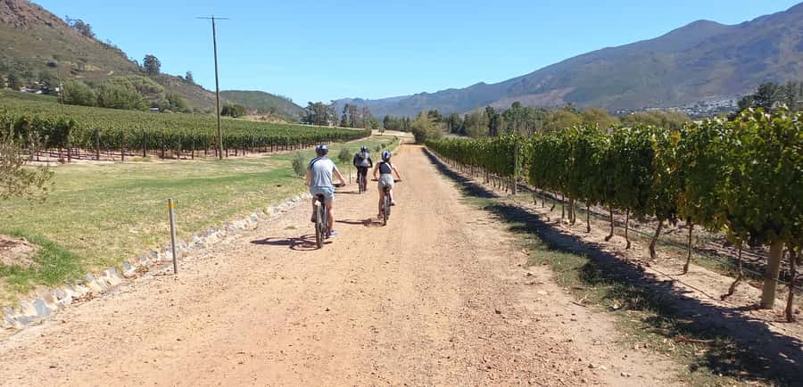 Franschhoek E-Bike & Wine Tour - Key points at a glance