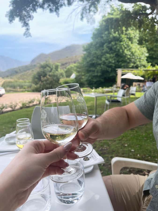 Franschhoek E-Bike & Wine Tour - Why an e-bike is the right way to see Franschhoek
