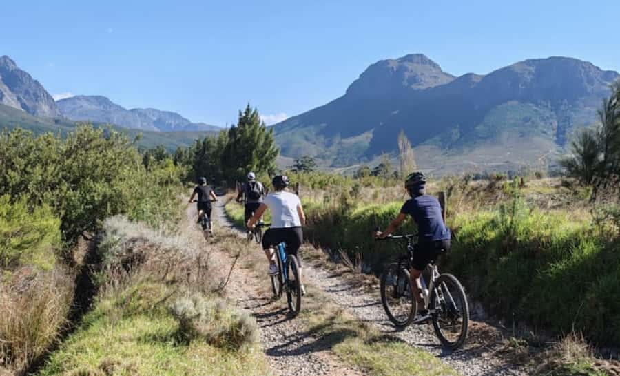 Franschhoek: E-Bike & Wine Tour (Shared Tour) - Key points to know before riding