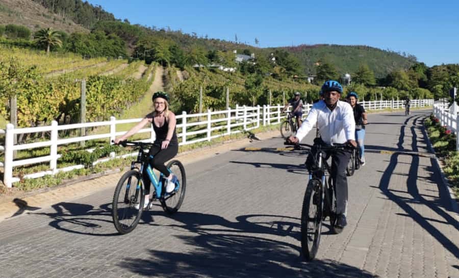 Franschhoek: E-Bike & Wine Tour (Shared Tour) - Meeting guides such as Tim and Max
