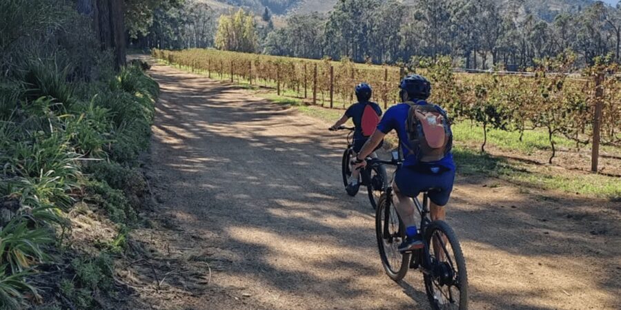 Franschhoek: E-Bike & Wine Tour (Shared Tour) - Visiting the wine estates and cellars