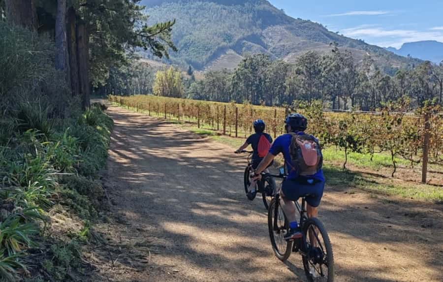 Franschhoek: E-Bike & Wine Tour (Shared Tour) - Understanding the $108 price